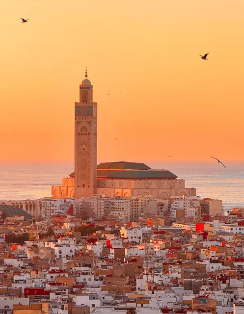 ​​24 Hours in the Air for This Moment! I've Found My Dream Hotel! 🌄​​