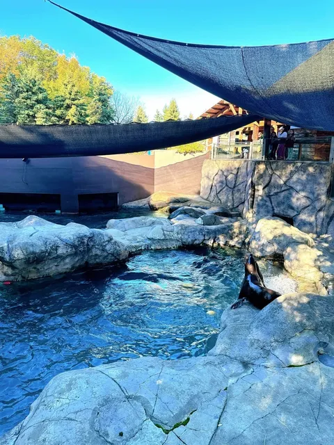 🇺🇸 What to Do in Rochester, NY | A Hidden Gem Zoo 🦒