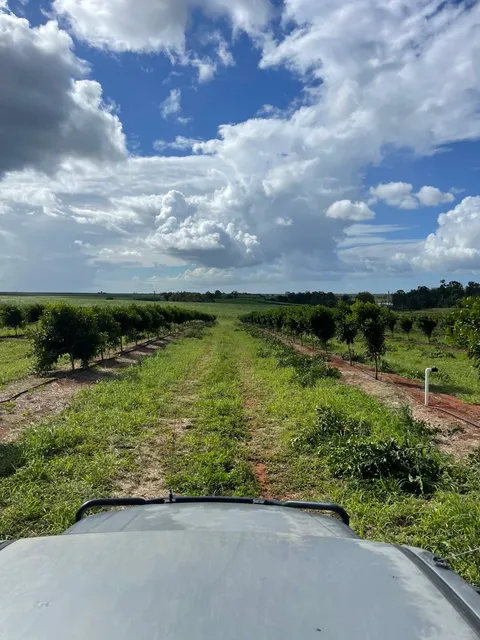 My Australian Adventure: Planting Macadamia Trees in Bundaberg! 🌱🌰