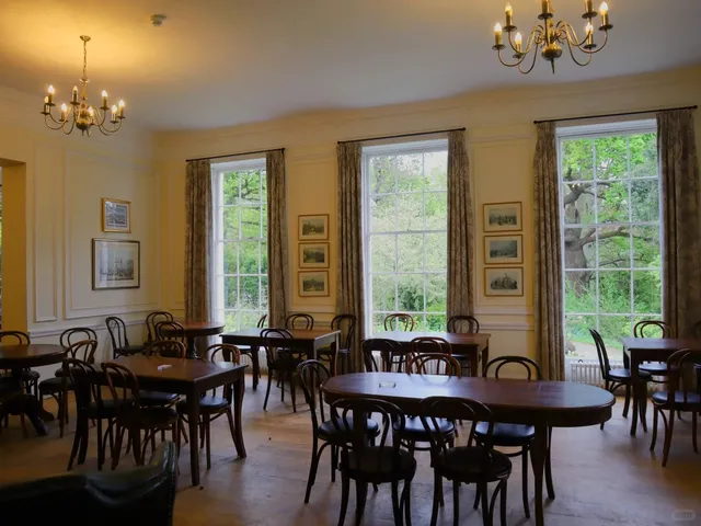 🇬🇧 Richmond Park: A Magical Deer Encounter in London’s Wild Heart