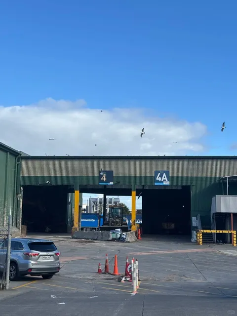 🇳🇿 Weekend Adventure: "Reborn in NZ—Trash to Treasure!" ♻️✨