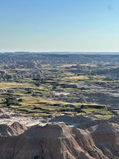 Where Desert and Prairie Interweave in a Surreal Landscape 🌵🌾