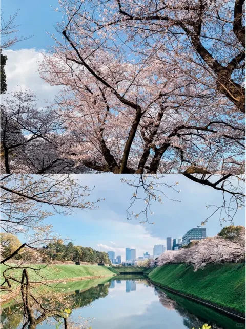  Tokyo's Surroundings (1) 