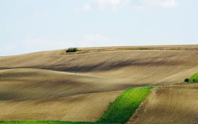 Czech Autumn XP Wallpaper Hunt