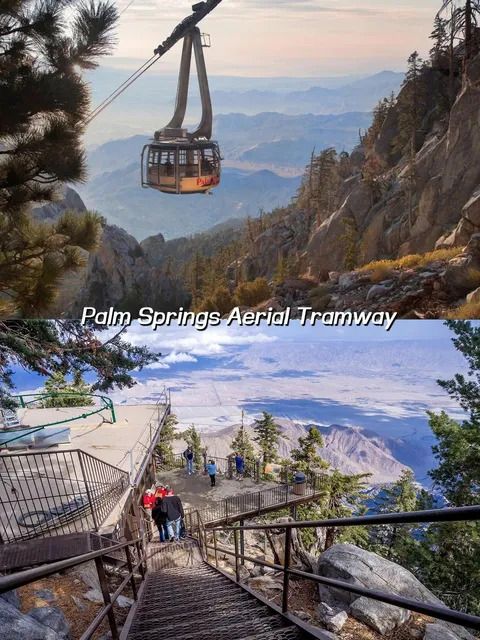 🌵 Palm Springs Travel Guide | A Healing Oasis in the Desert 🌴