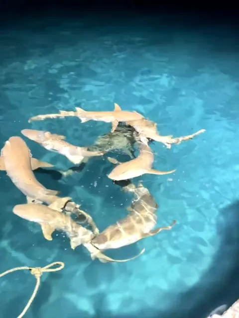 🇲🇻 Maldives Tipping Guide: Avoid These Mistakes! 🙏