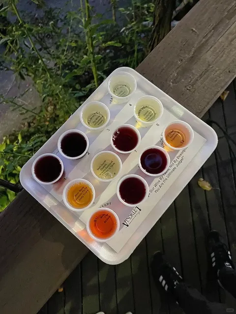 Cincinnati Day-to-Day｜Stream of Moments 📝✨