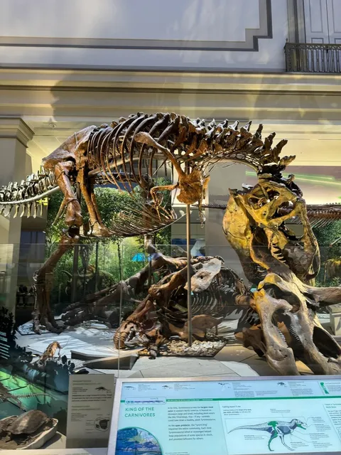 🇺🇸 Washington D.C. Travel | 2 Days of Free Attractions! ⛲️🌸