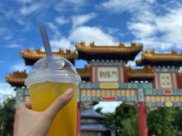 Orlando 6-Day 7-Park Wrap-Up - Disney EPCOT 🌍✨