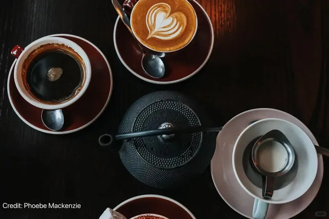 📍 What's So Special About Wellington?