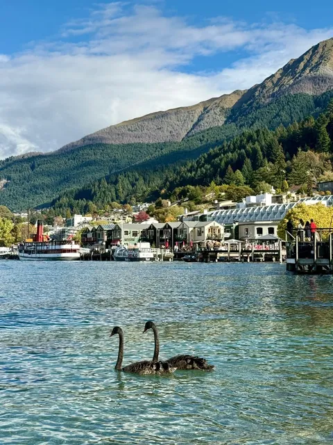 🦢 Queenstown, NZ | The Legendary "Garden of Eden" 🏔️