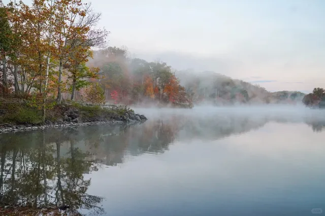 🇺🇸 Autumn Colors in the DMV Area