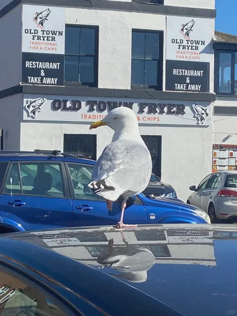 Day Trip from London: Charming Hastings