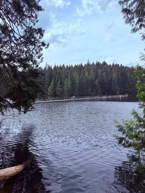 🌳 Perfect Weekend Spot for Family Fun! 👨‍👩‍👧‍👦✨