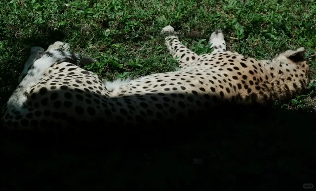 A Day Trip in Naples, Florida