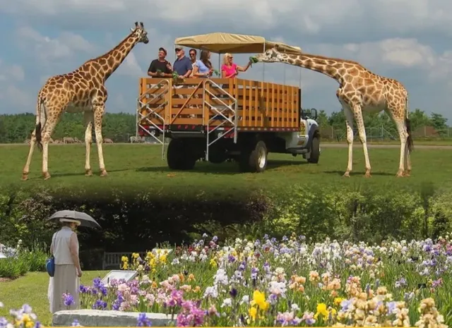 🎉 So Many Amazing Attractions Around Hamilton