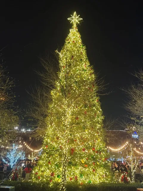 Promise Me You’ll Visit Grapevine This Christmas! 🎄✨