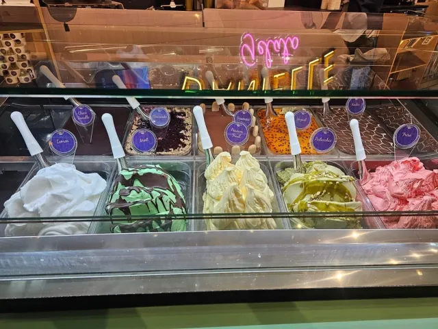 Must-Visit Coconut Spot in Miami! 🥥🍦