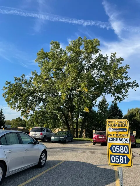 🇺🇸 Detroit Unlocked: The Motor City’s Hidden Charms 🚗✨