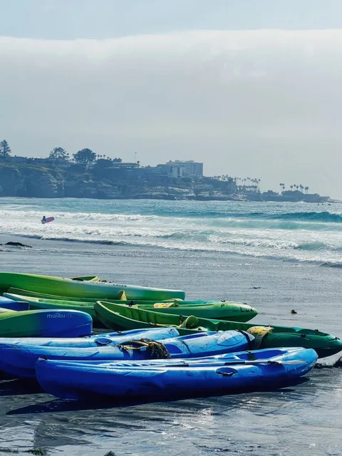 SD｜First-Time Kayaking & Unexpected Whale & Sea Lion Encounters 🐳🦭