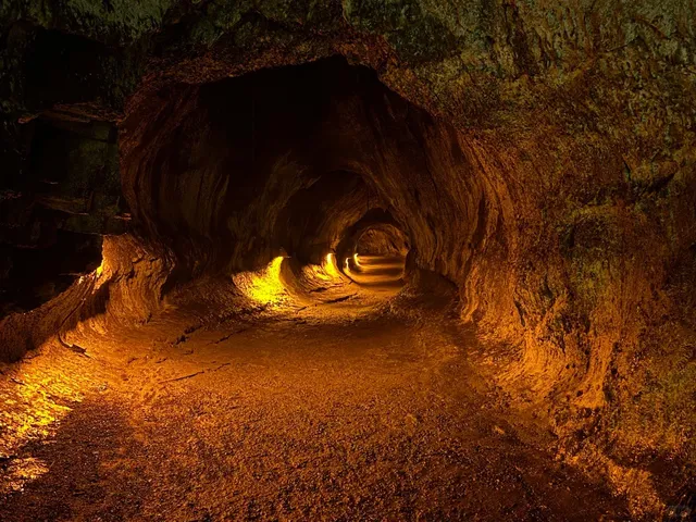 Year-End Bonus Trip to Honolulu, Hawaii!