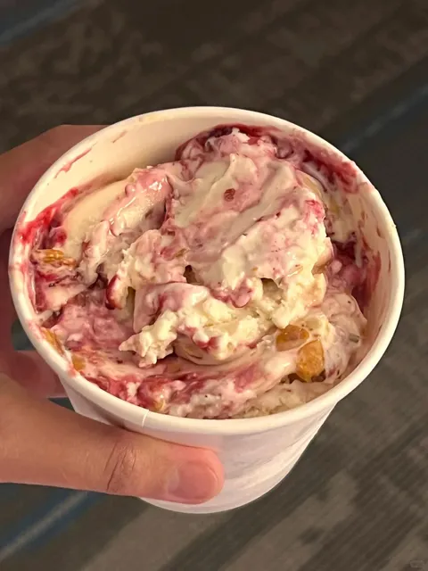 SLC Salt Lake City’s Rockwell Ice Cream 🍦  