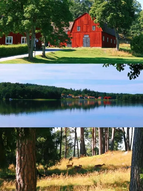 🇸🇪 Stockholm's Hidden Gem: Deer Nature Reserve 🦌🌿✨
