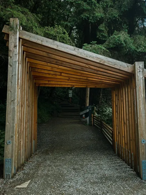 📍 Grouse Grind | The Cloud Staircase at Vancouver's Doorstep