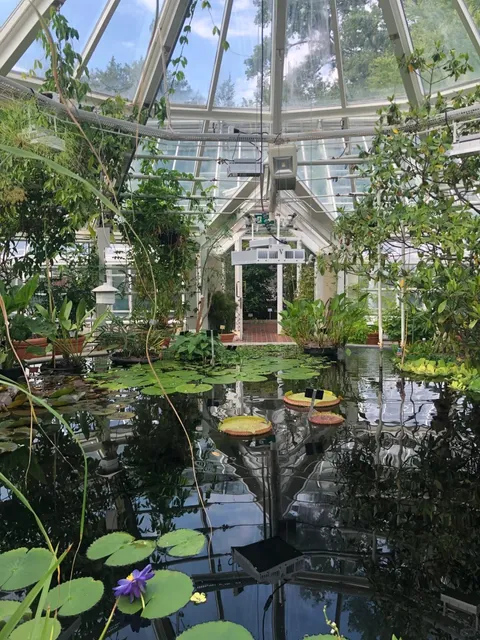 Highly Recommending Helsinki's Kaisaniemi to Everyone 🌳🌸