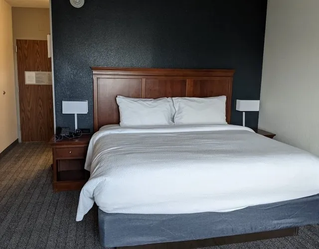 One of the Best Hotels in Tampa!