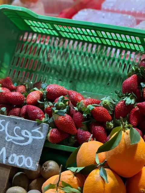🌃 Tunis by Night（2）