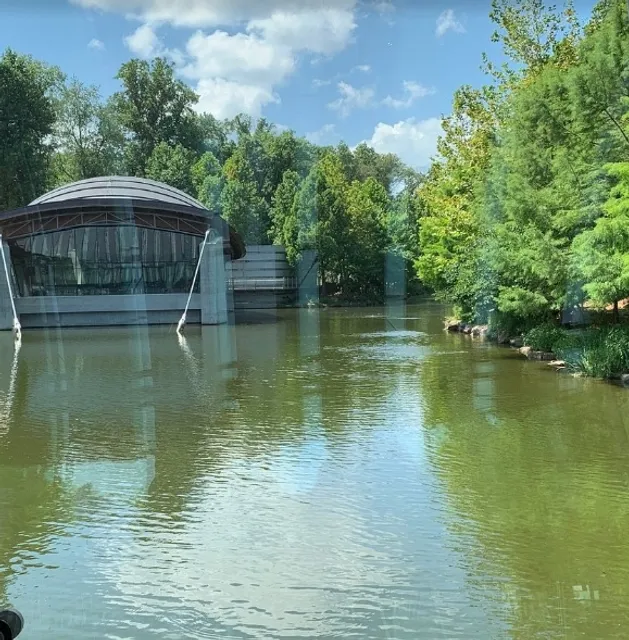 A Lively and Delicious Restaurant