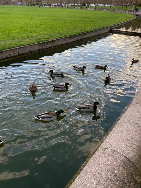 Seattle | Bellevue Downtown Park