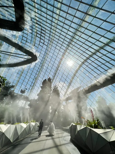 🌿🌤️ Cloud Forest, Singapore