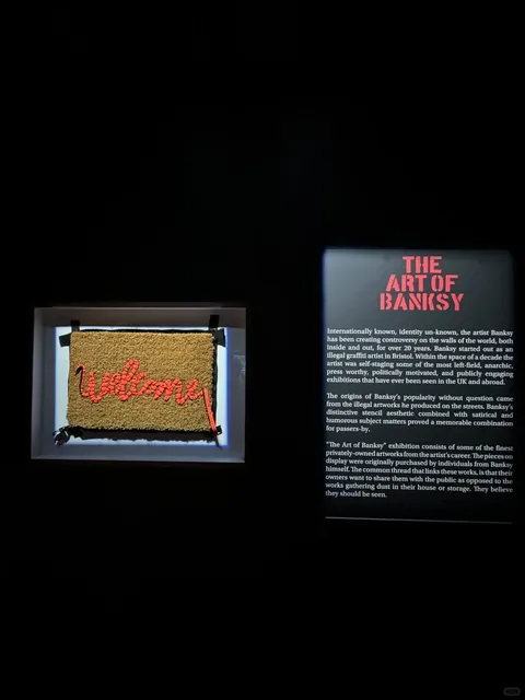 🇨🇦 ​​Banksy Exhibition Alert | THE ART OF BANKSY🩸​​