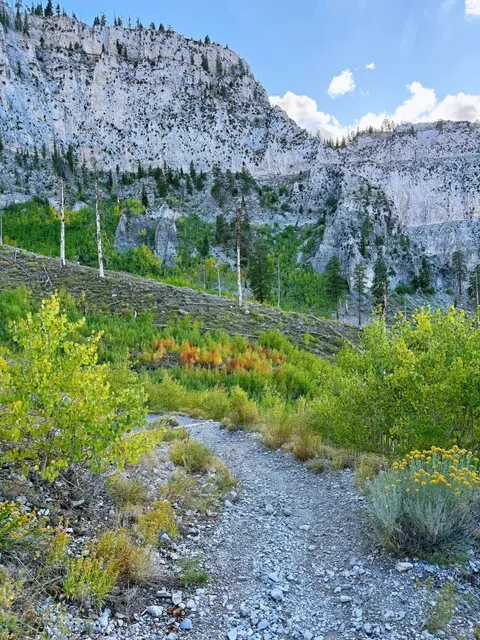 Fall Has Arrived in the Las Vegas Mountains! 🍁⛰️