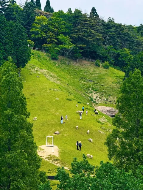 💡 Mount Rokko Farm