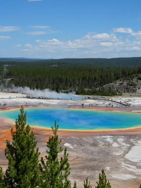 Yellowstone National Park ❄️ A Must-Visit in Winter ✅ 
