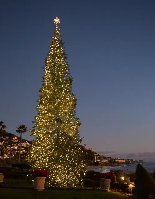  🎄 Christmas at Laguna Beach: Coastal Charm Meets Holiday Spirit 🌊✨