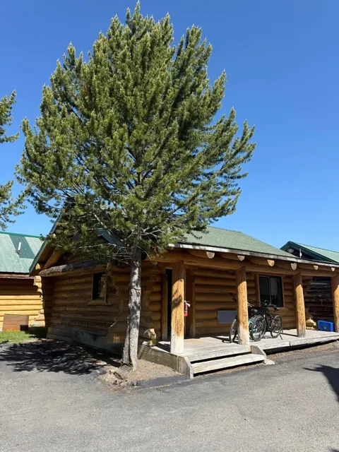 Yellowstone Lodge Showdown: 4 Iconic Stays Rated