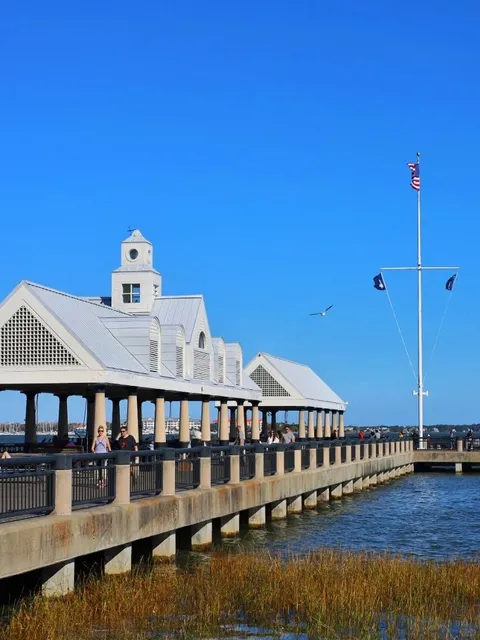 Charleston City Walk: A Journey Through History 🏛️🚶‍♀️