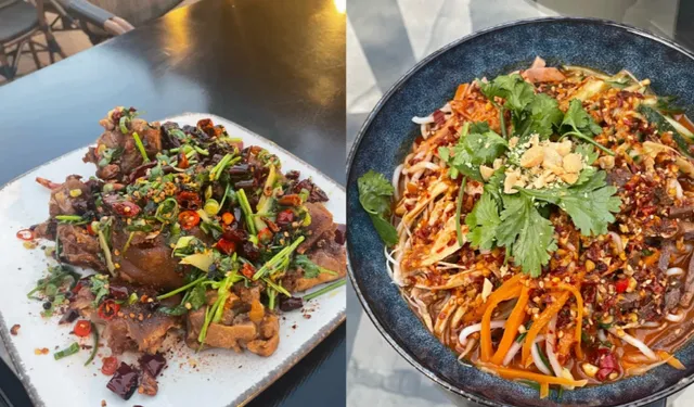 ​​Munich Food Guide | From Yunnan to BBQ Ribs​​ 🌍🍽️