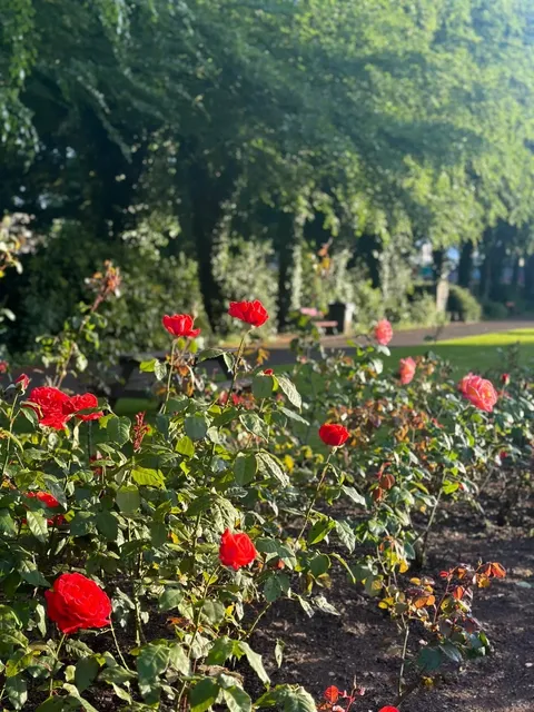 🇮🇪 Cork | 10 Blissful Moments in a European Town