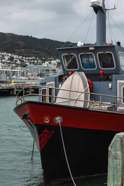  Mini Capital of the Southern Hemisphere Must-Do List!