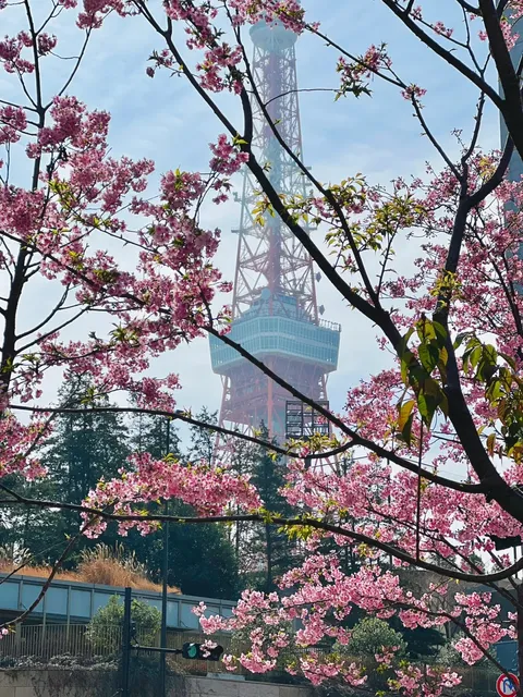 First-Timer's Guide to Tokyo!