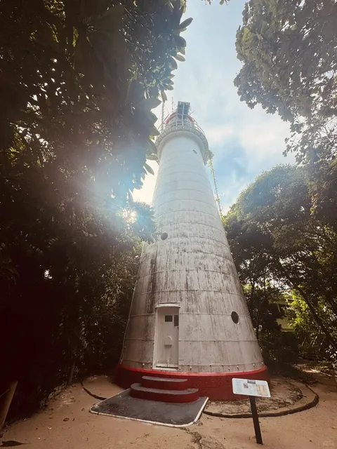 🇦🇺 Port Douglas: Low Isles Half-Day Snorkeling Trip