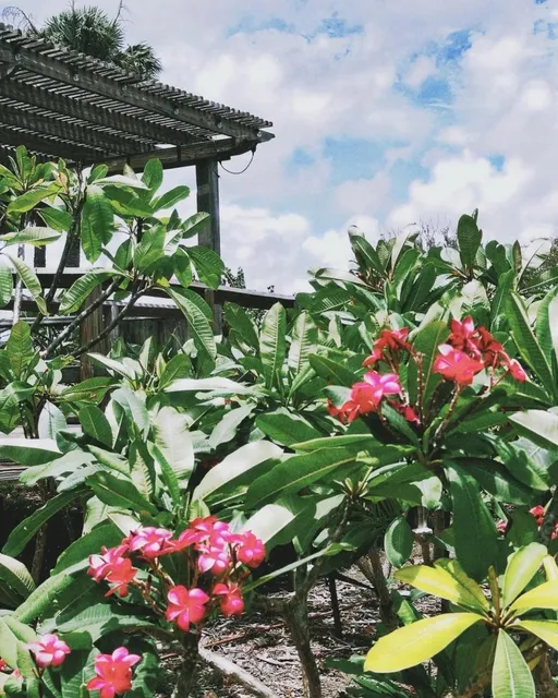 🌊 Corpus Christi Off-the-Beaten-Path Guide 🛣️