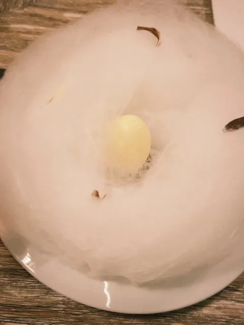 ​​🦢 GOOSE SPECIAL: Kraków's Most Unforgettable Dessert!!!​​ 🇵🇱🍰