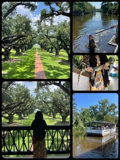 New Orleans | Oak Alley + Swamp Tour One-Day Trip 🐊