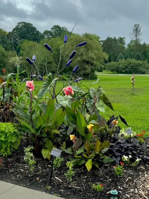 ⛰️ Getaway: One Day at Cornell 🎒